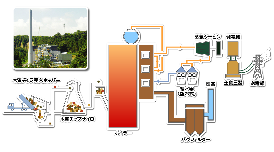 木の熱量を電気エネルギーにする処理工程図